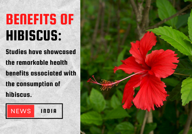  Health Benefits of Hibiscus