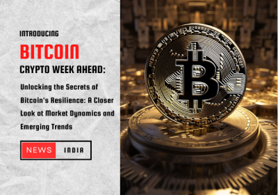 Bitcoin's Resilience: Exploring the Current Landscape and Future Prospects